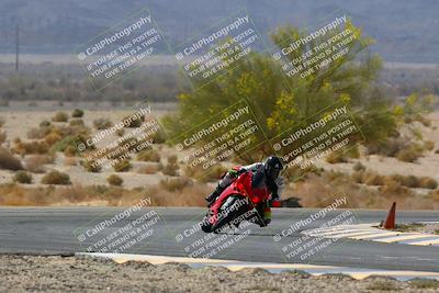 media/Apr-10-2022-SoCal Trackdays (Sun) [[f104b12566]]/Turn 5 Tree of Life (1040am)/